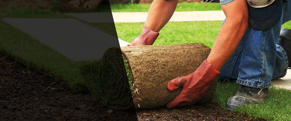 Deer Park Landscapers